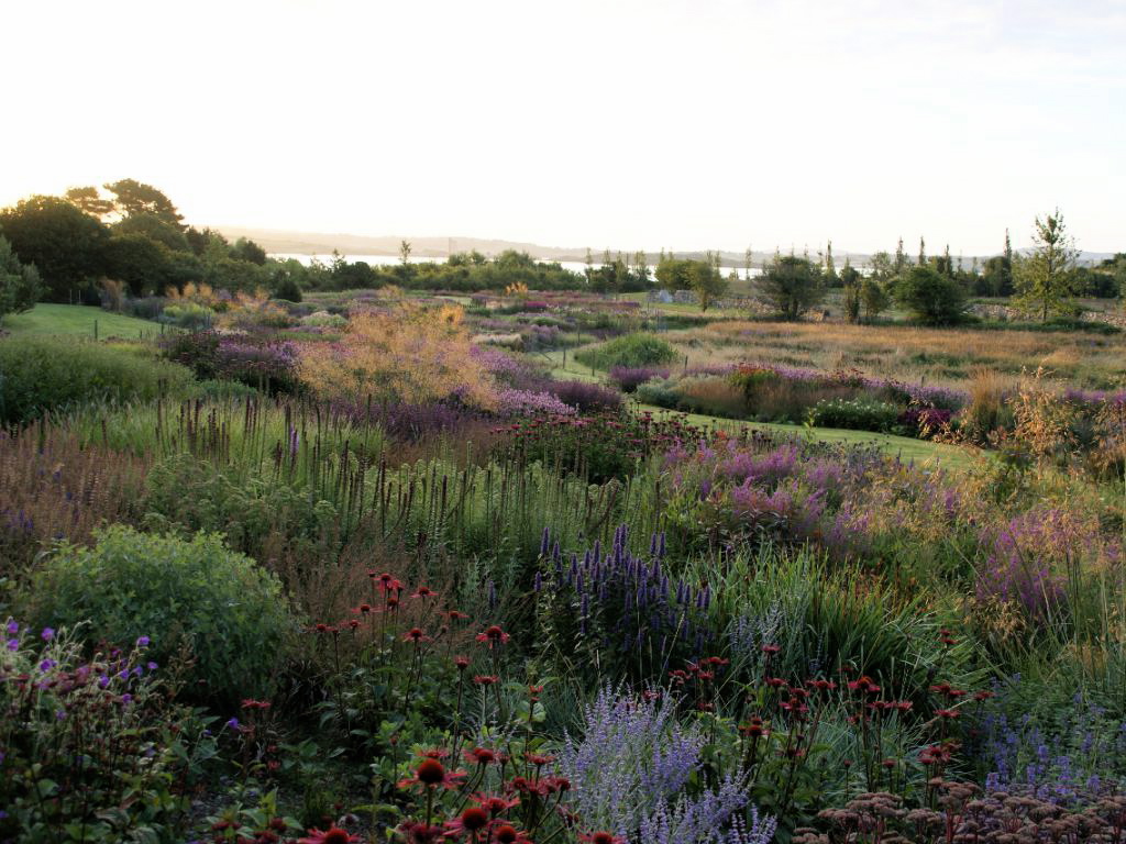 photo of garden designed by Piet Oudolf