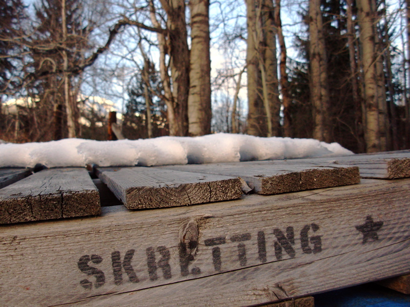 photo of pallet stamped with the word Skretting