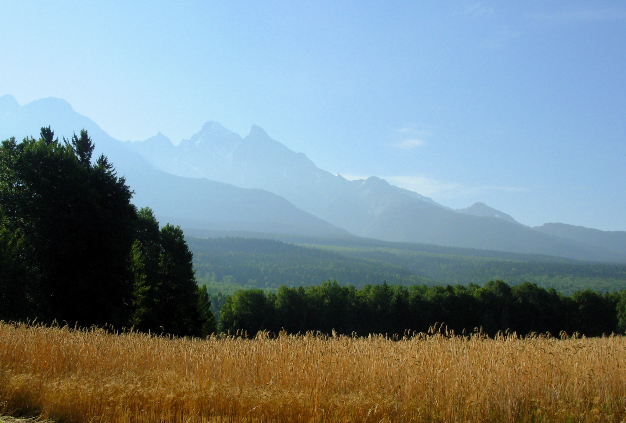 I came here to write: farm field, mountains